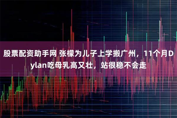 股票配资助手网 张檬为儿子上学搬广州，11个月Dylan吃母乳高又壮，站很稳不会走
